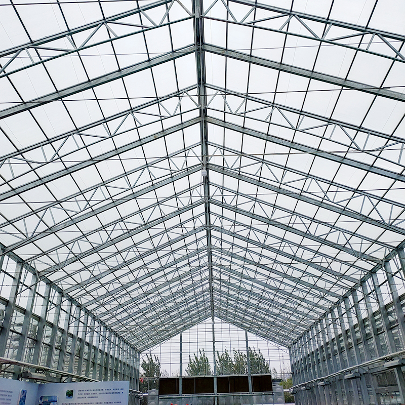 Complete Glass Agricultural Greenhouse Turnkey Project with Quick Construction Greenhouses