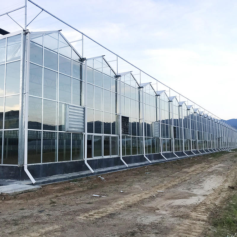 large galvanized steel frame truss glass agricultural greenhouse