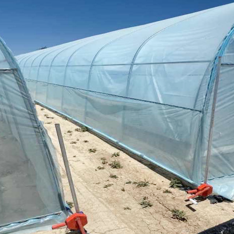 Galvanized Frame Single-Span Arch Tunnel Greenhouse Framing Material with Film