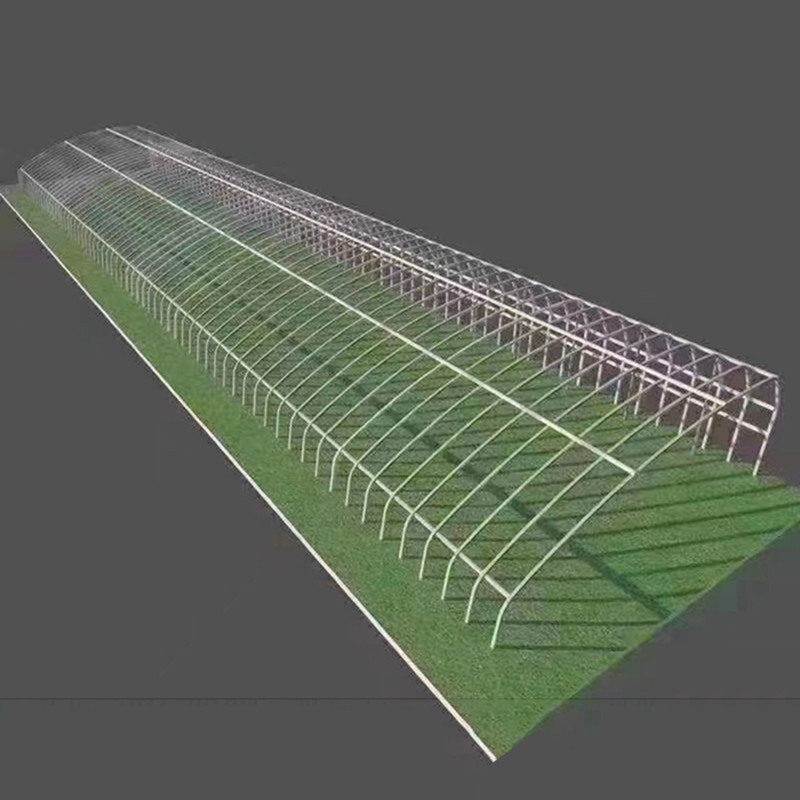 Film Greenhouse