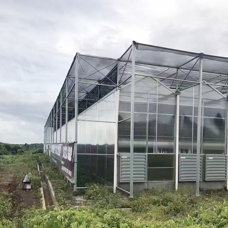 Reasonable Price New Style Large Glass Agricultural Greenhouses For Industrial Used