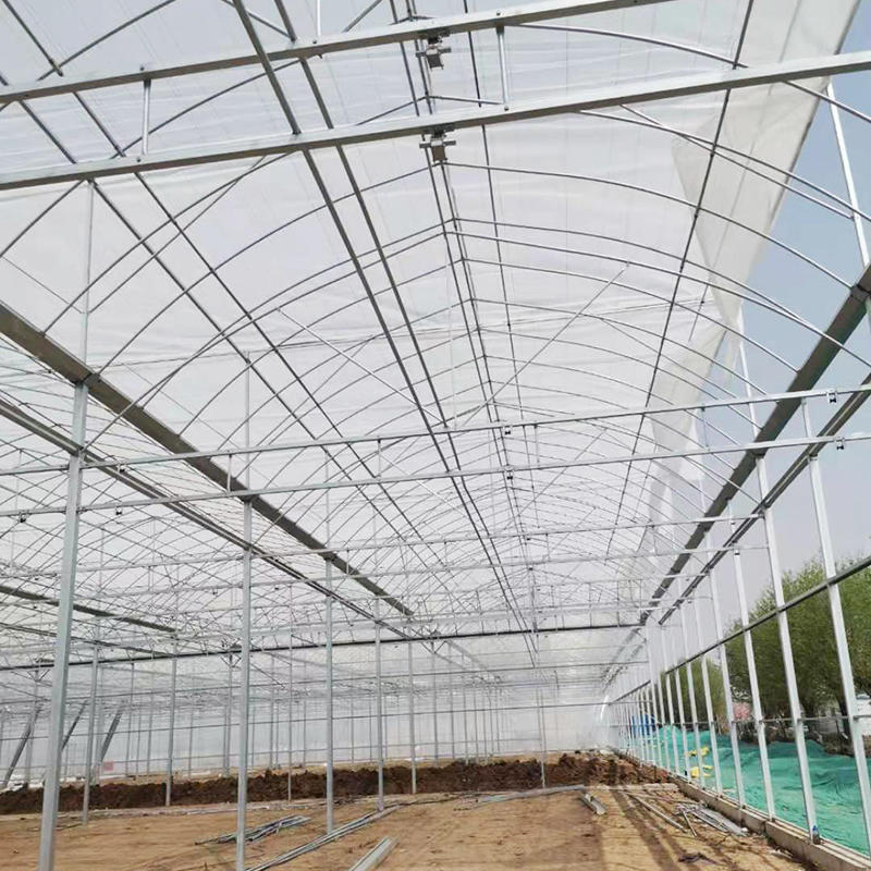 Complete Glass Agricultural Greenhouse Turnkey Project with Quick Construction Greenhouses