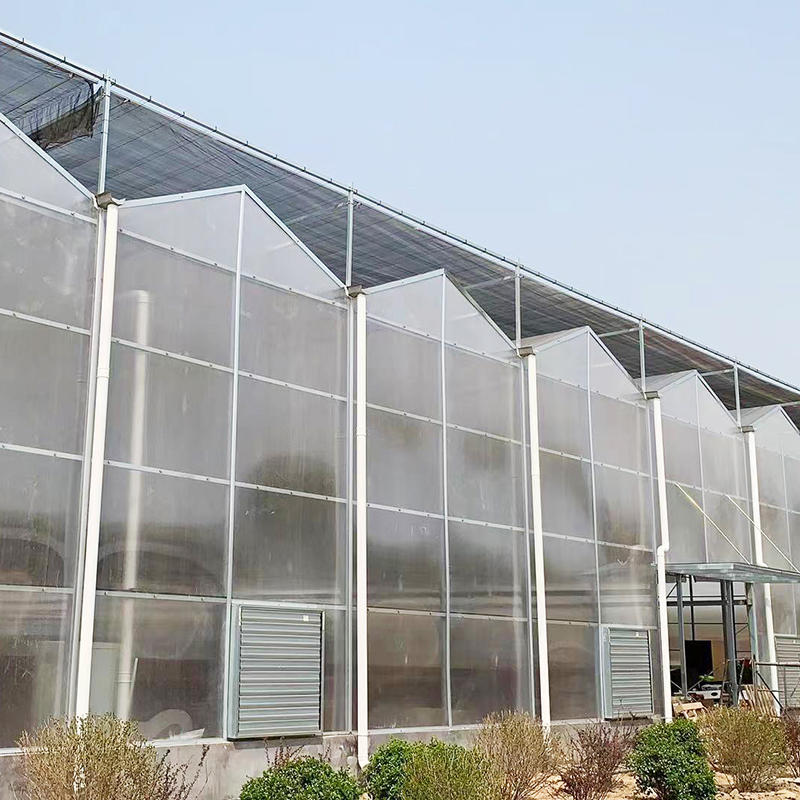 Fast delivery Commercial Hydroponic Plastic Film Greenhouse Multispan Agricultural Greenhouses