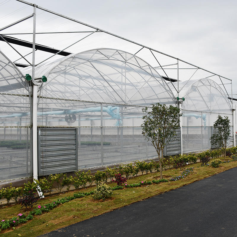 Agriculture Multi-Span Arch Plastic Film Greenhouse Tomato Greenhouse and Strawberry Greenhouse