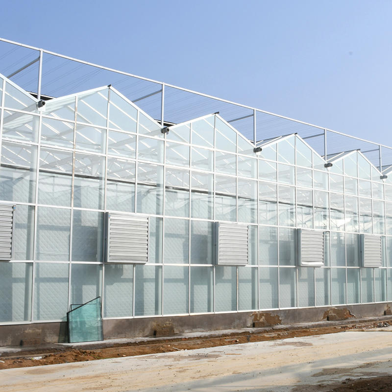 Intelligent Agriculture Remote Monitoring System Greenhouse Irrigation Monitoring System Scheme Design Greenhouse