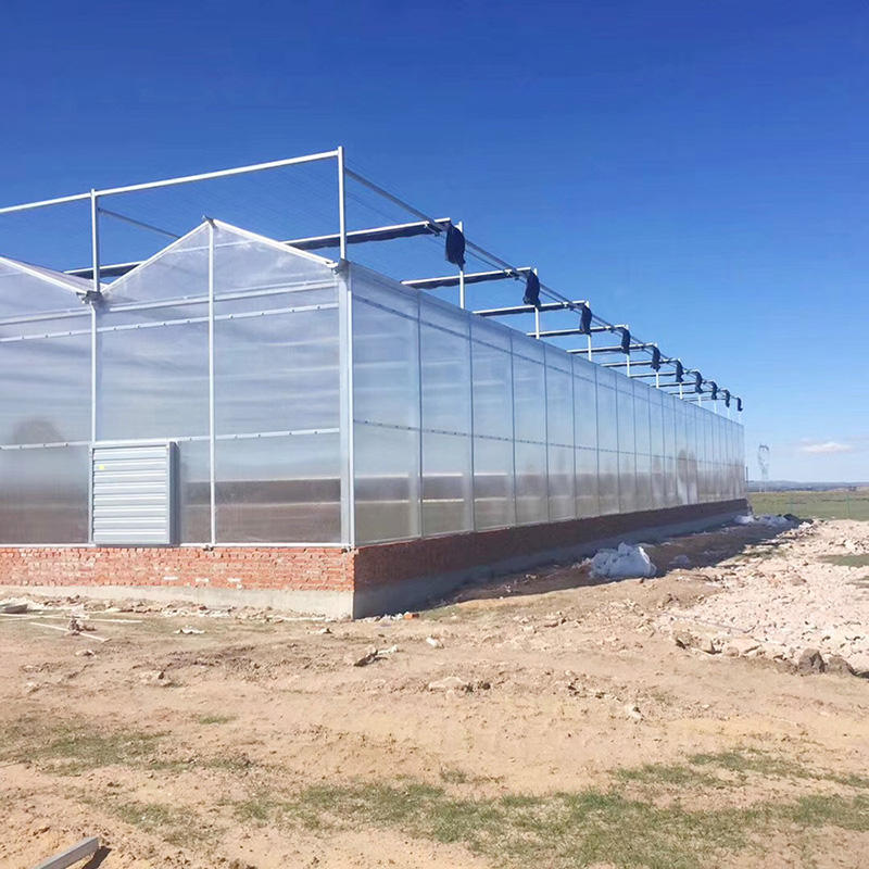 Hot Sale Solar Agricultural Greenhouse Structure Plastic Film Multi Span Greenhouse