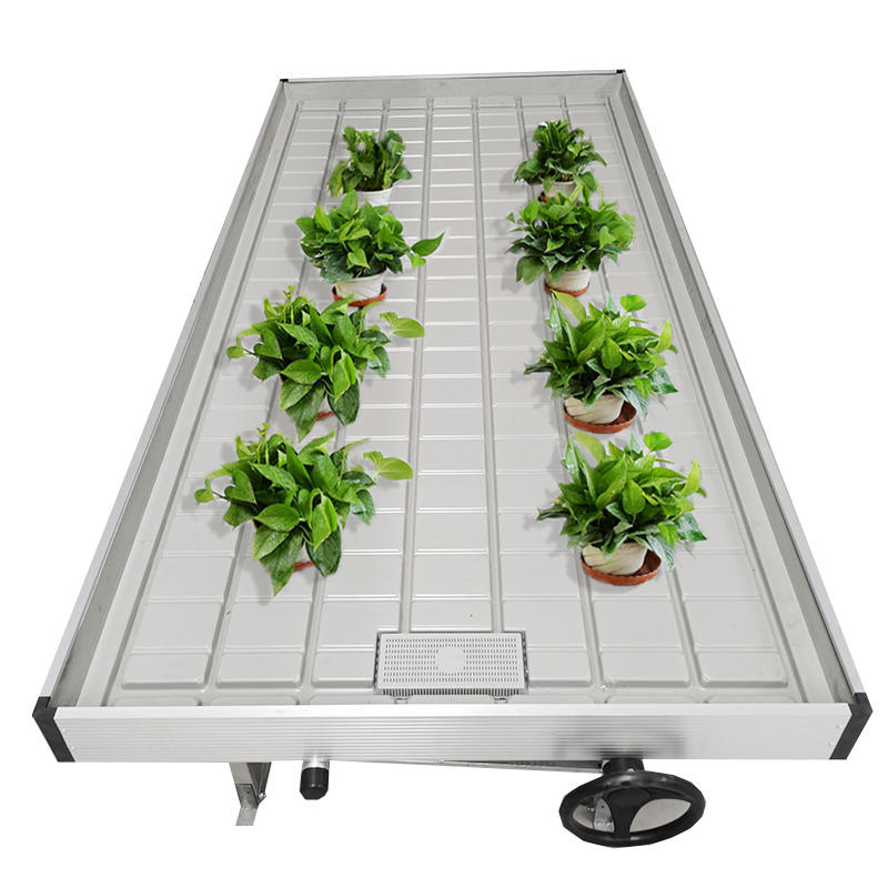 Greenhouse Ebb and Flow ABS Tray Rolling Benches Grow Tables For Sale