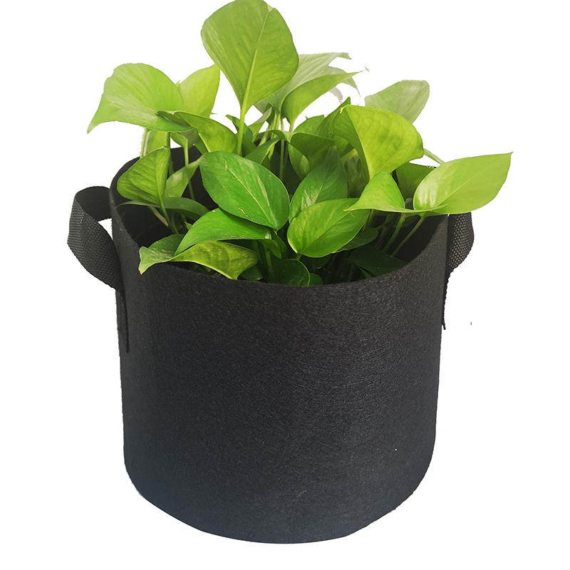 10 Gallon Wholesale High Quality Non Woven Felt Garden Potato Vegetable Hydroponic Fabric Pot Plant Grow Bags