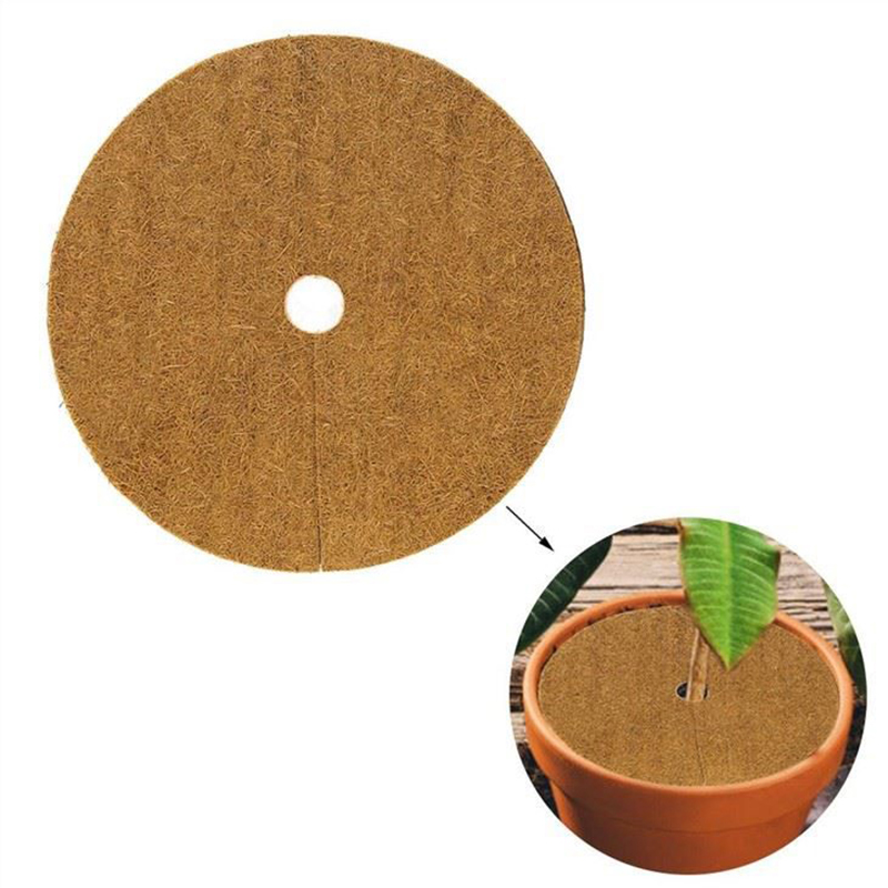 Grow Mat Discs