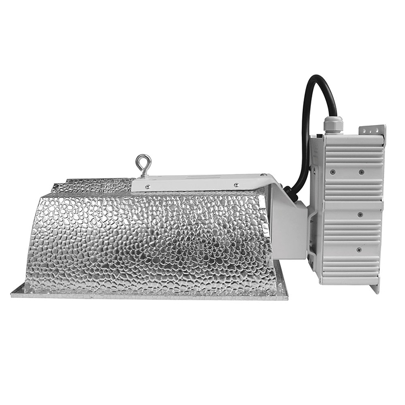 1000W Grow Tent Light Ceramic Metal Halide CMH 1000W Dimming Double Ended Grow Lights For Hydroponic Plants