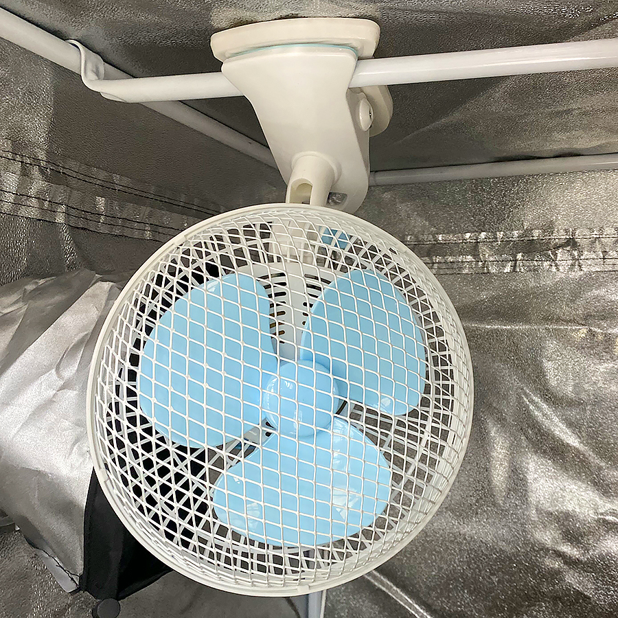 6 Inch Clip Fan