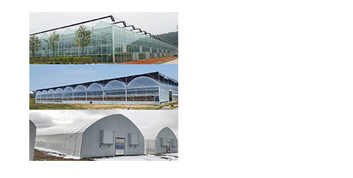 Greenhouse