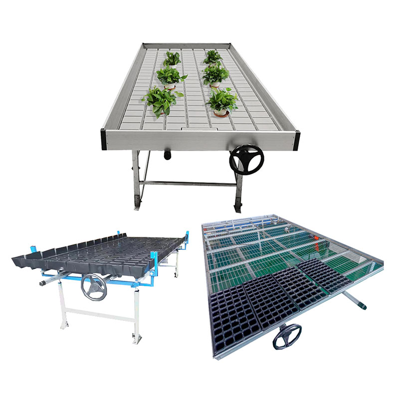 Hydroponic Seedling Planting Greenhouse Plastic Trays for Plants Plastic  Tray for Wheelbarrow - China Plants Growing Trays, Plastic Nursery Seedling  Trays