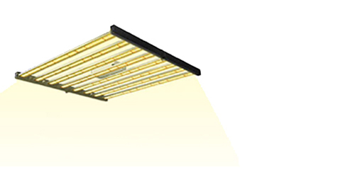 Grow Light