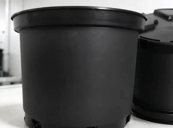 SmallPlasticFlowerPotsWholesale1 Small Plastic Flower Pots Wholesale